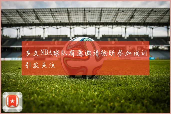 多支NBA球队有意邀请徐昕参加试训引发关注